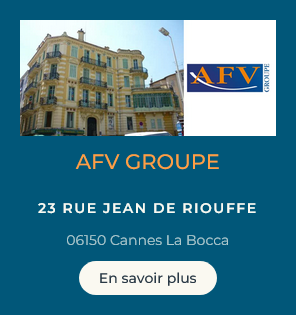 logo avf groupe