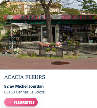 acacia fleurs